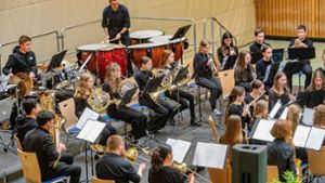 Bönnigheim: Im Mittelpunkt die Tuba