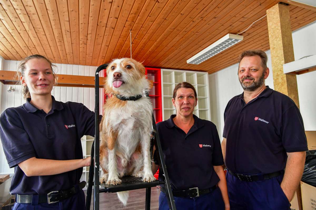 Die Malteser Rettungshundestaffel bezieht neue Schulungsräume: Neues Zuhause für die Schnüffelnasen