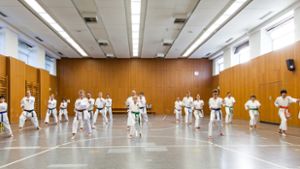 Gegründet 2018 kann der Verein Karate-Dojo-Bietigheim erst jetzt das Training aufnehmen.: Ziel: Gegenseitige Wertschätzung