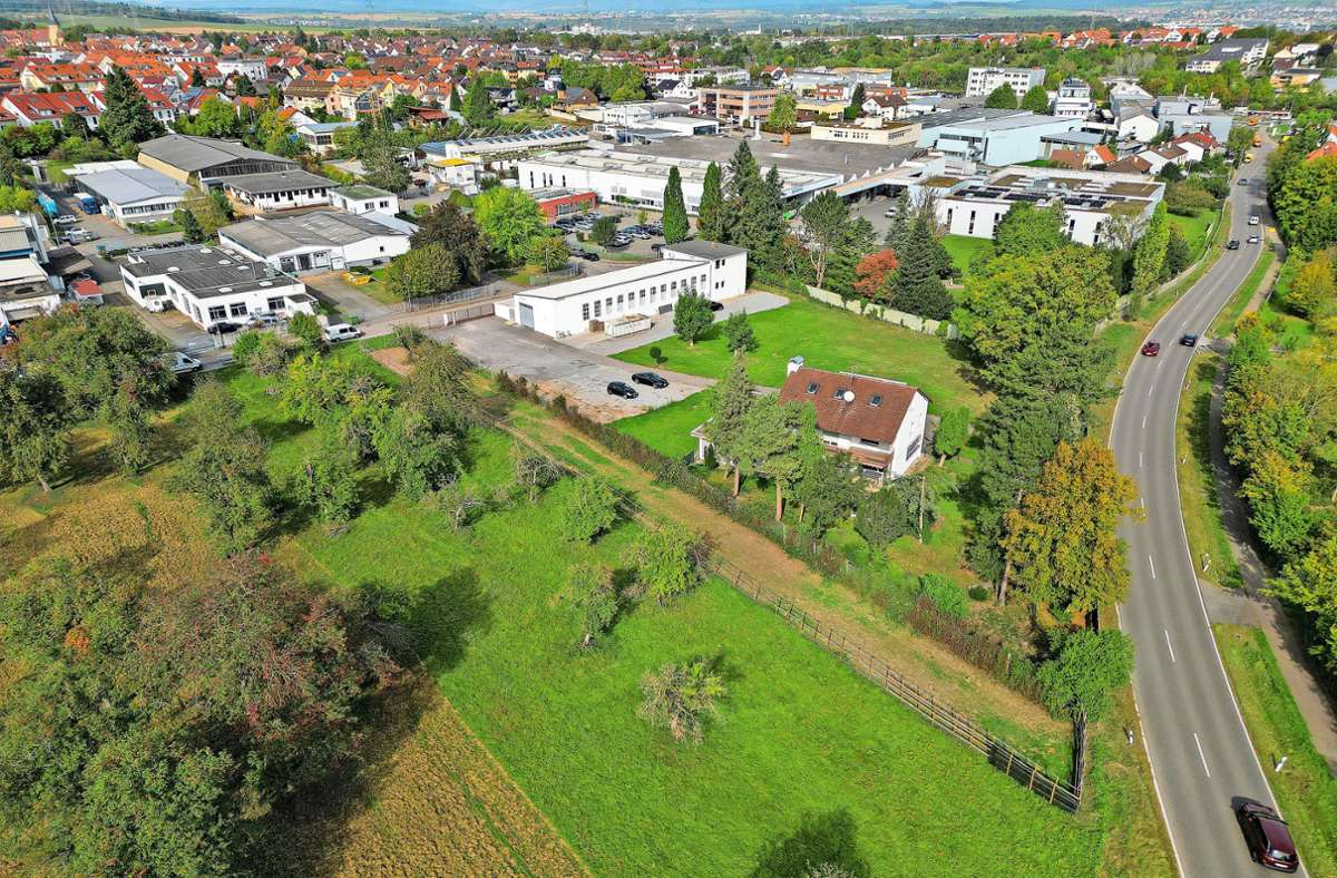 Stadtrat vertagt Entscheidung: Löwenherzschule: Standort ungewiss