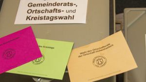 Sachsenheim: Wer zur Wahl steht