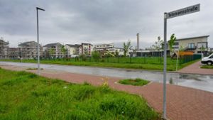 Bönnigheim tritt Bürgergenossenschaft bei: Würfelhäuser für das Schlossfeld?