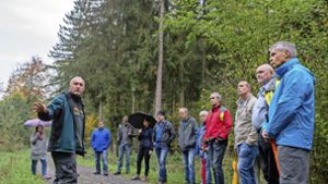 Ottmarsheimer Wald: Waldbegehung des Besigheimer Gemeinderats