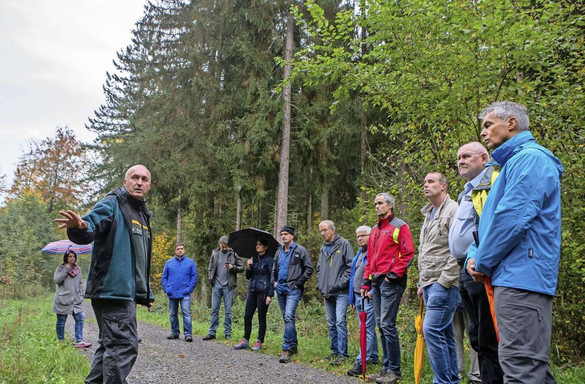 Ottmarsheimer Wald: Waldbegehung des Besigheimer Gemeinderats