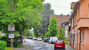 Wohnungsbau in Freudental: Dachgauben lösen Änderung des Bebauungsplans aus