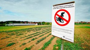 Landwirte weisen Hundehalter mit Schildern darauf hin, ihre Vierbeiner von  landwirtschaftliche Flächen fern zu halten.  ⇥ Foto: Factum/Simon Granville 