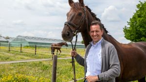 Der Vorsitzende des Reitvereins Bietigheim-Bissingen, Klaus Dieterich, ist neuer Landespräsident des baden-württembergischen Pferdesportverbands.⇥ Foto: Oliver Bürkle