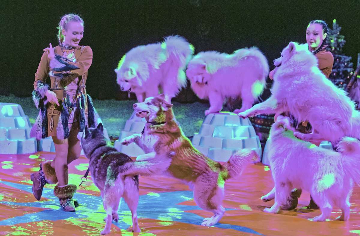 Zirkus in Bietigheim-Bissingen: Rund 900 Gäste bei der Benefizgala