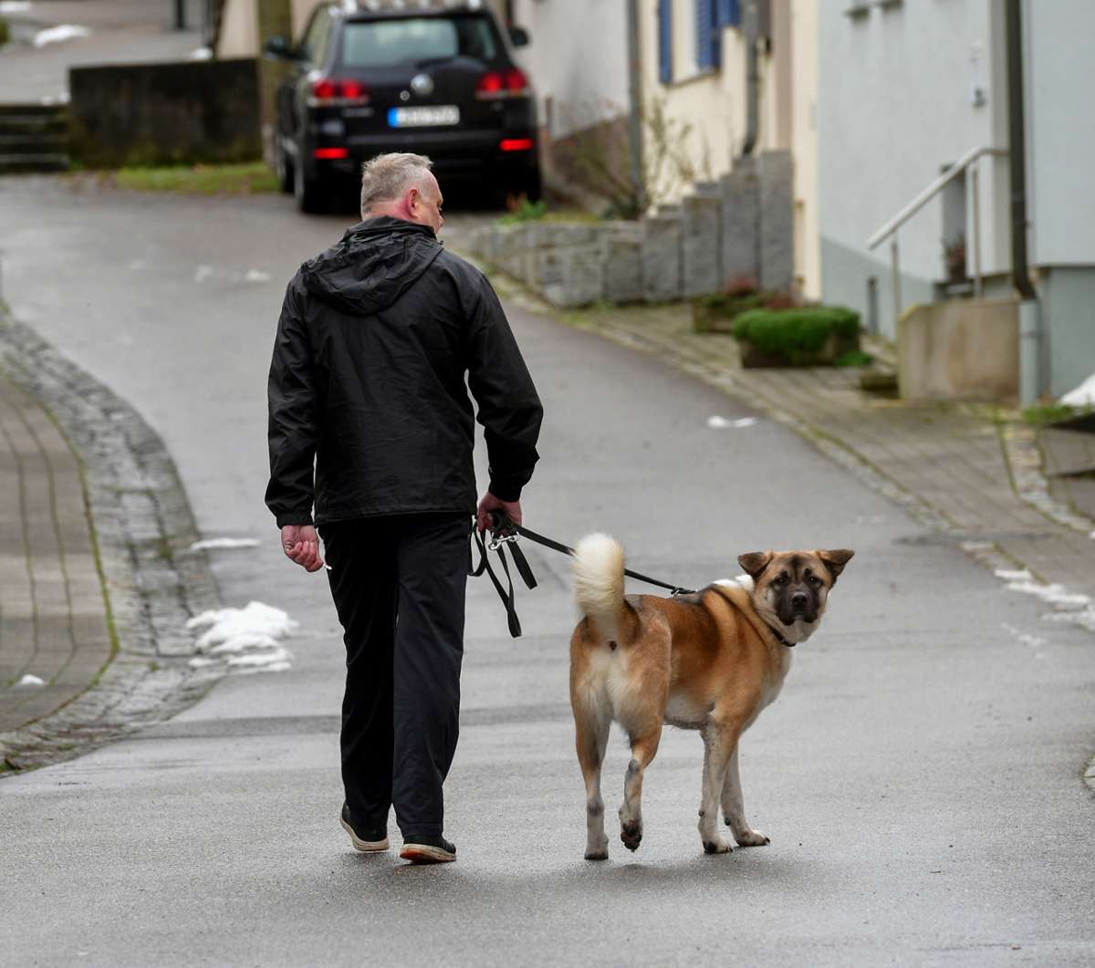 Besigheim erhöht Hunde- und Vergnügungssteuer: Kommunale Steuern gehen nach oben