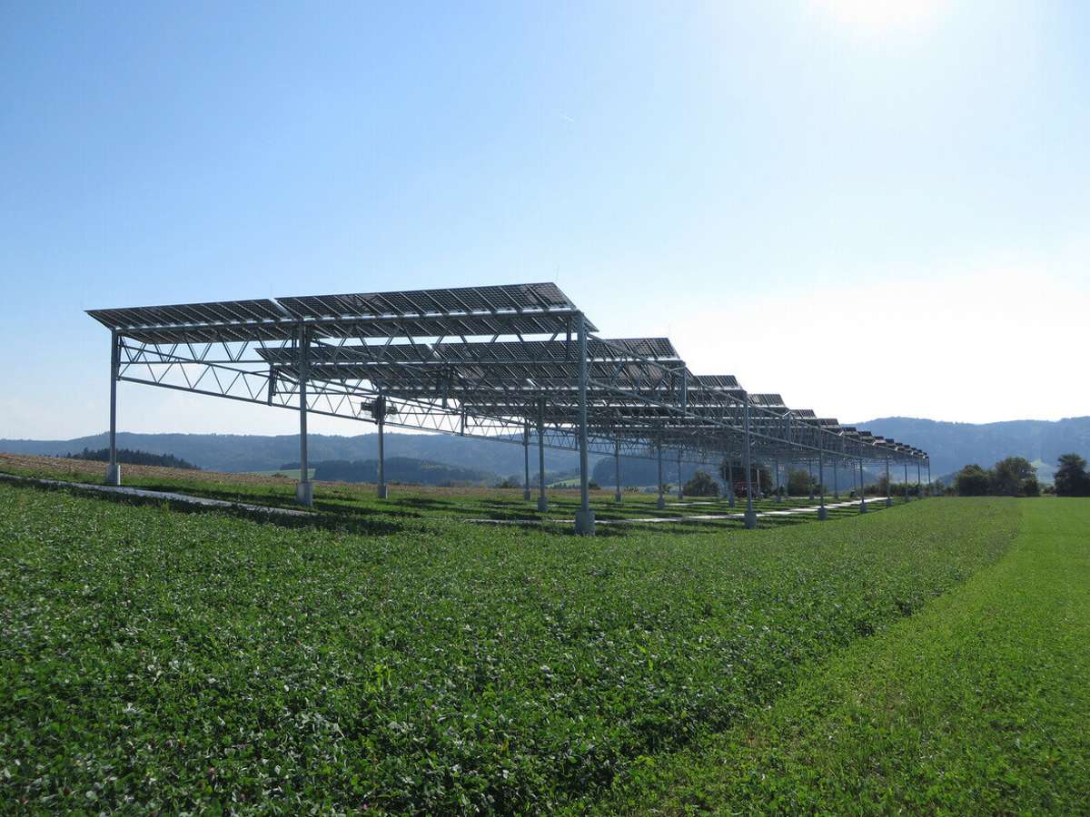 Eine Agri-Photovoltaikanlage in Heggelbach beim Bodensee. Auch in Sersheim ist so eine Anlage geplant.