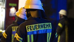 Kreis Ludwigsburg: Bei Blackouts baut der Kreis auf „Leuchttürme“