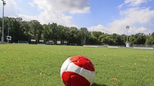 Bissingen als Trainingsgelände für Fußball-EM im Gespräch: Rasen am Bruchwald im Fokus von DFB und UEFA