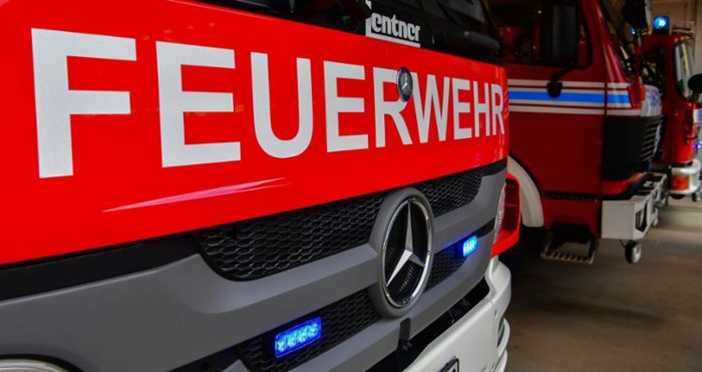 Kaminbrand in Freiberg: Menschen und Hunde bleiben unverletzt