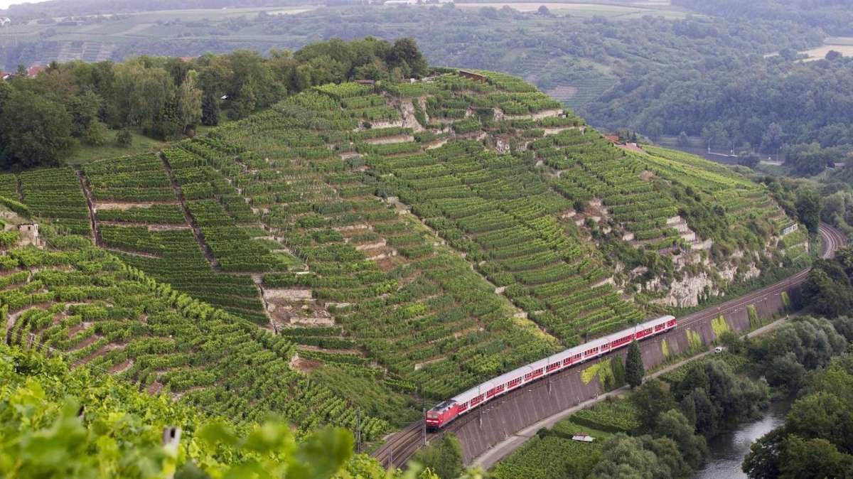 Neuer Wein-Wanderweg am Niedernberg über der Enz: Beste Aussicht auf Besigheim