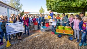 Durch die Förderung der VR-Bank Ludwigsburg war es der Grundschule Erligheim-Hofen möglich, eine eigene Safpresse und Zubehör zu kaufen und eigenen Apfelsaft zu pressen. Foto:  