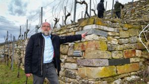 Rettung der Trockenmauern in den Weinbergen: Sorge um die traditionellen Trockenmauern im Wengert