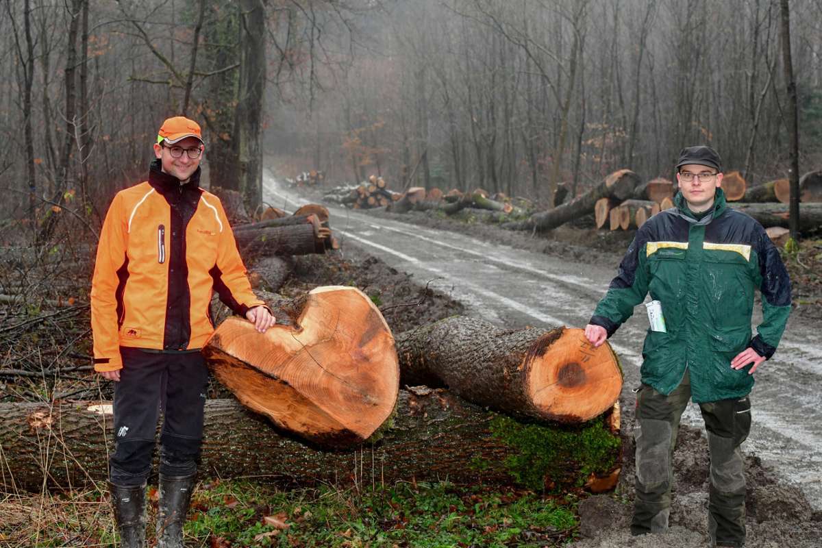 Arbeiten im Bietigheimer Forst: Bald sind die Wege wieder sauber(er)