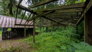 Die Hütte auf dem Waldspielplatz Kleinsachsenheim wird zumindest teilweise überdacht – dank Ortsteilbugdet. ⇥ Foto: Helmut Pangerl