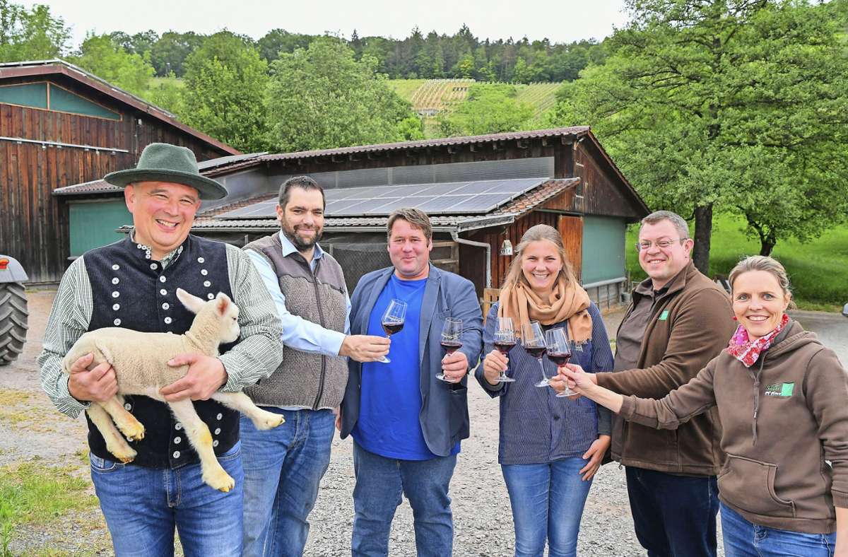Sachsenheim: Wein und Lamm am Geigersberg