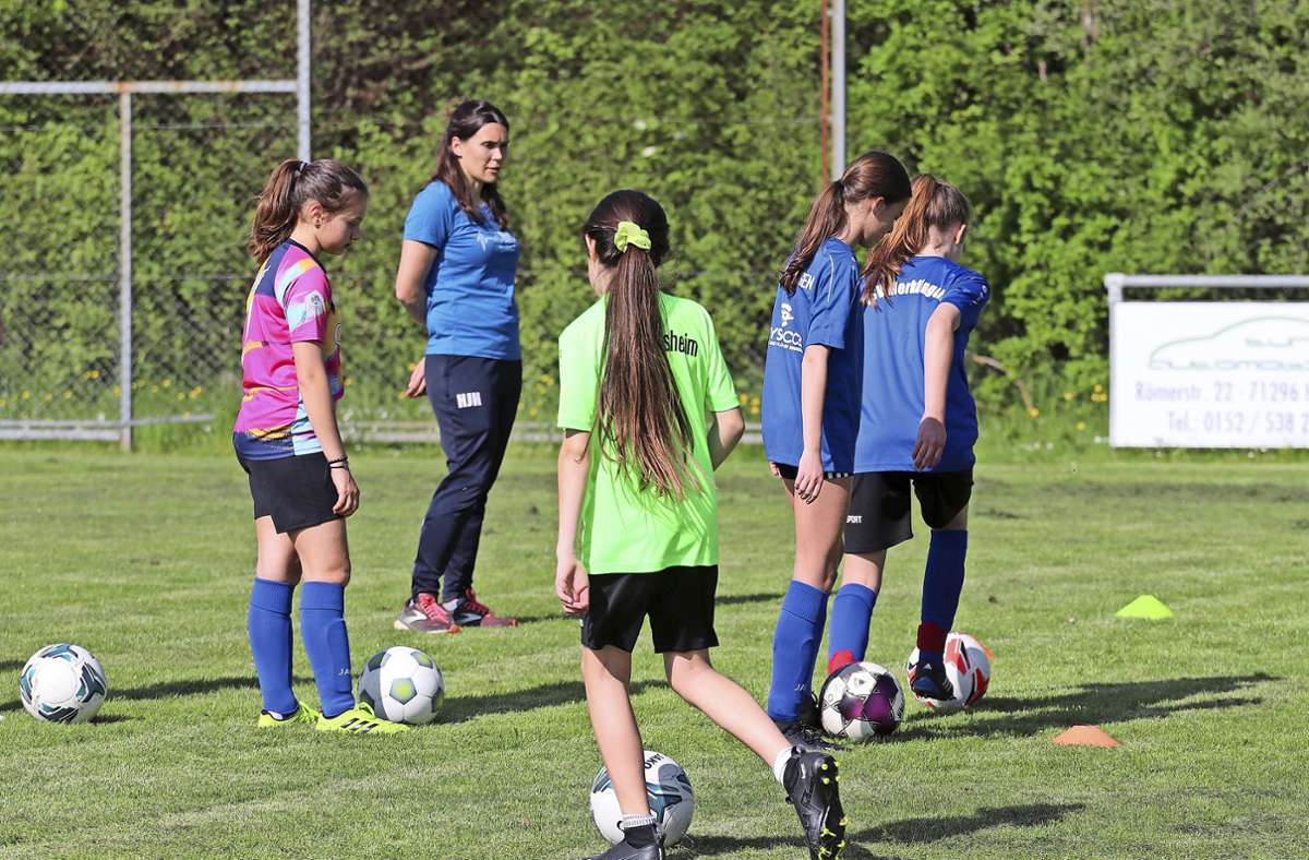 Mädchenfußball im Bezirk Enz/Murr: Kniffliger Kampf um jedes Mädchen