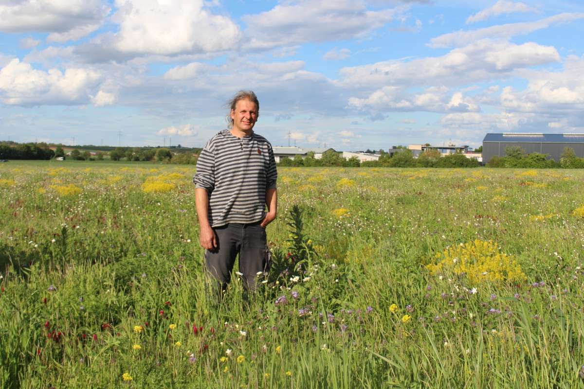 Ein Landwirt aus Bönnigheim und sein Projekt „Blühende Heimat“: Statt Weizen eine Wiese für Insekten