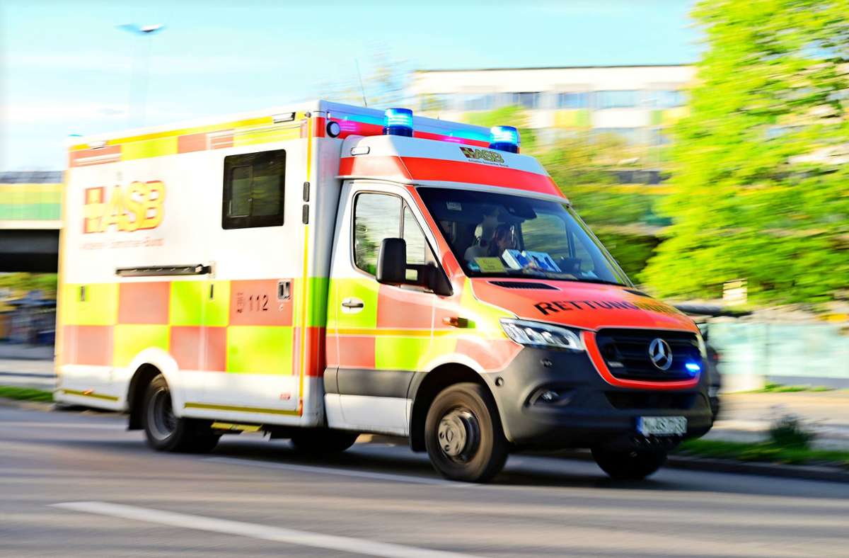 Kreis Ludwigsburg: Hilfsfrist: „Eine Klassifizierung von Notfällen macht Sinn“