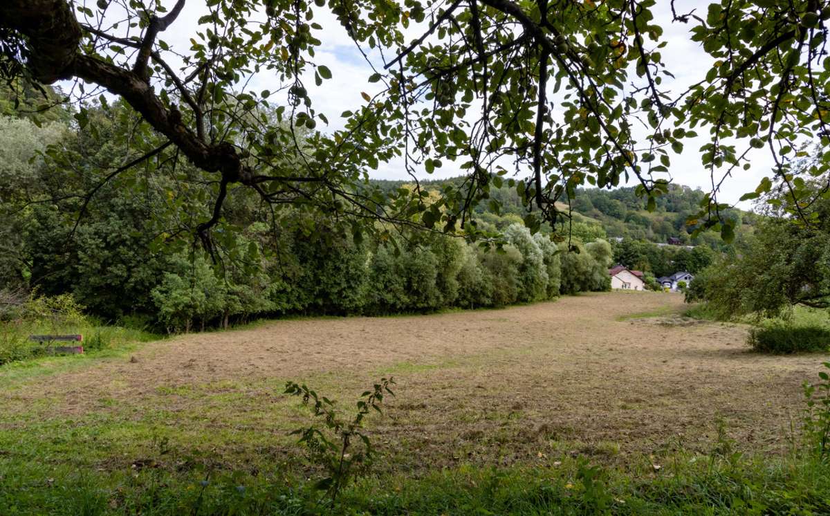 Häfnerhaslacher Ortschaftsrat sagt Ja zu „Talaue“: Naturschutz kritisiert Baugebiet