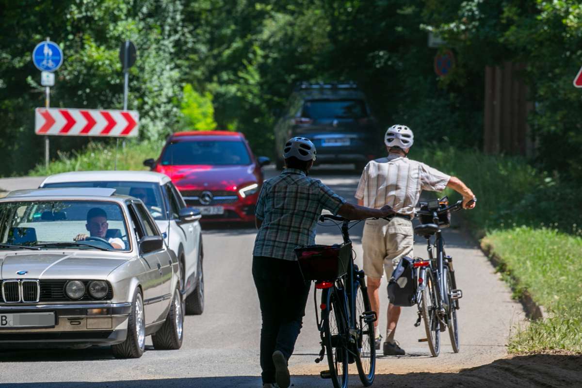 Mobilitätswende in Freiberg?: Fahrradzone: Rat stimmt Testphase zu