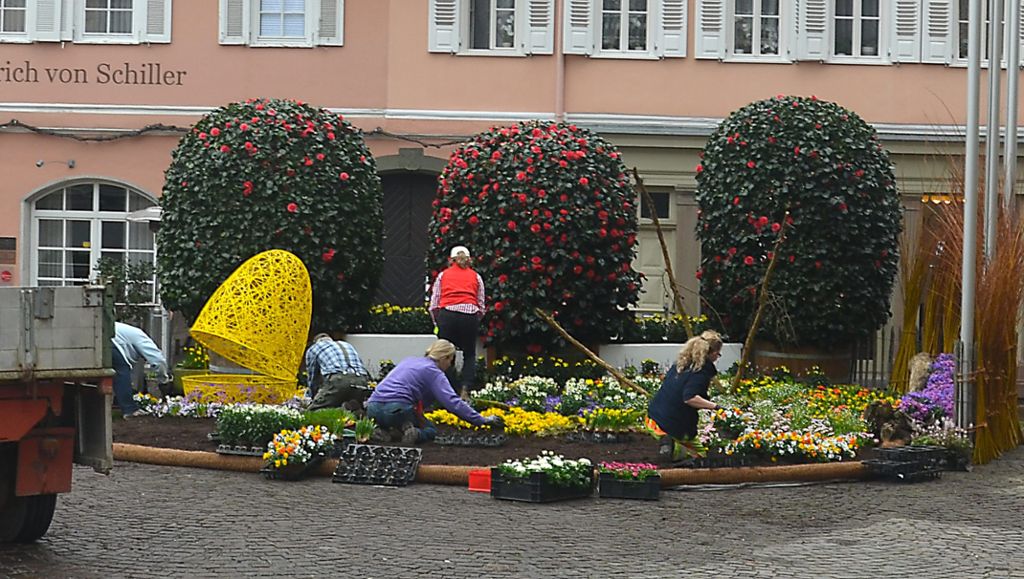 Frühlingsboten vor dem Bietigheimer Rathaus: Stadtgärtner sind aktiv
