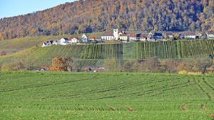 Sachsenheim: Hohenhaslach war auf Deponie-Liste
