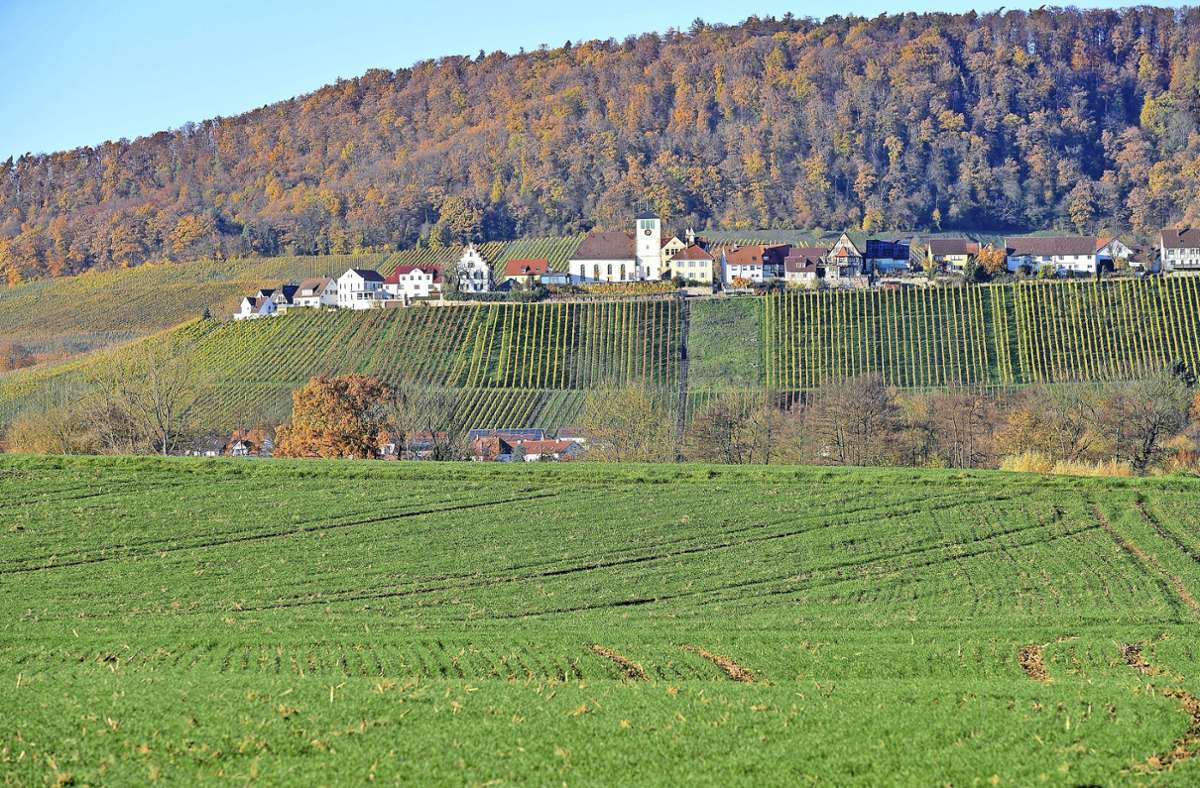 Sachsenheim: Hohenhaslach war auf Deponie-Liste