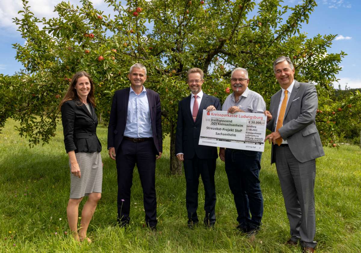 30.000 Euro für Streuobstprojekt Stop in Sachsenheim von der Kreissparkasse: Wachstumsschub fürs Streuobst