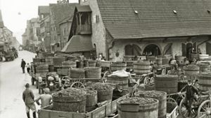 Das Foto aus dem Jahr 1960 zeigt die Anlieferung von Weintrauben vor der Kelter in Besigheim. Mit vollen Fässern warten die Wengerter darauf, dass sie an die Reihe kommen.⇥ Foto: Stadt Besigheim