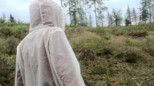 Als Drehort für die Landschaft der Zukunft in Norwegen wird für den Film der Filmakademie-Studierenden, „Anna – Tales for Tomorrow“, der vom Borkenkäfern zerstörte Wald in Bad Sachsa im Harz dienen.⇥ Foto: Filmakademie