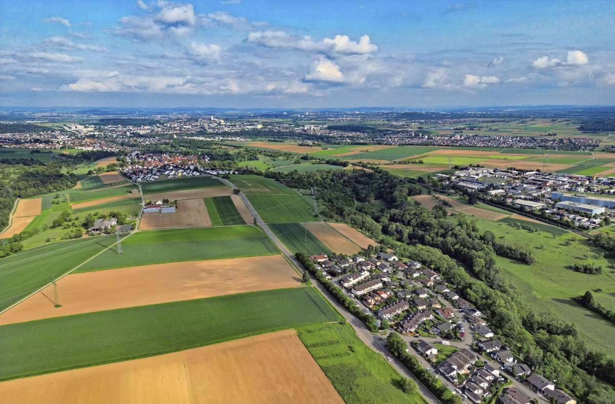 Sachsenheim/ Bietigheim-Bissingen: Ortsumfahrung beim Birkenfeld?