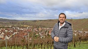 Mundelsheims Bürgermeister Boris Seitz in den Weinbergen mit Blick auf den Neckar. Foto: /Oliver Bürkle