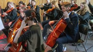 Das Schulorchester des Lichtenstern-Gymnasiums musizierte Disneysongs Foto: /Martin Kalb