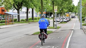 Ein Radfahrer auf dem Radweg in der Gustav-Rau-Straße. Dieser soll durch Schutzstreifen auf der Fahrbahn ersetzt werden.  Foto: /Martin Kalb