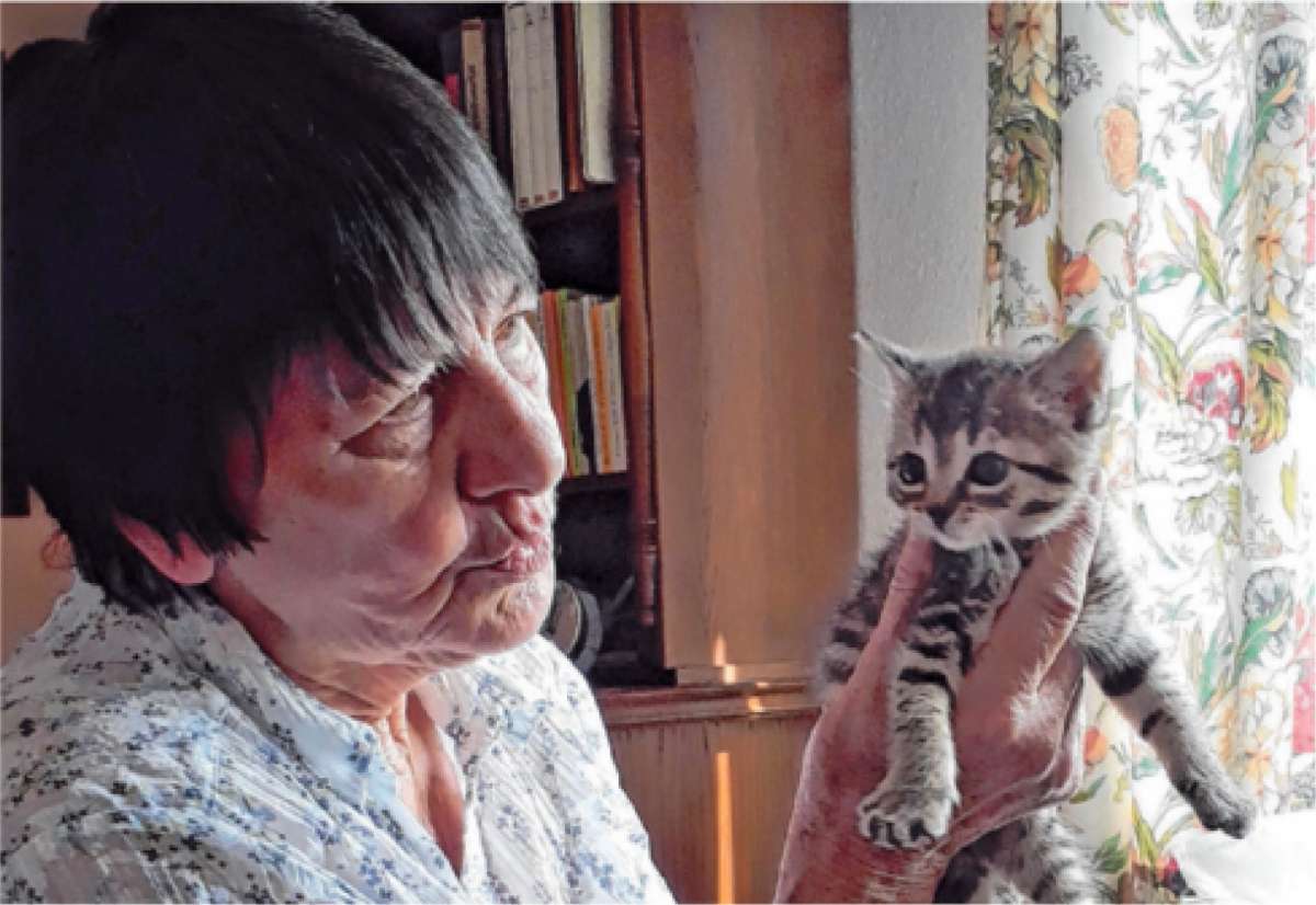 Die 82-jährige Jutta Framenau kümmert sich seit ihrer Kindheit um „Streuner“: Im Einsatz für Katzen in Not