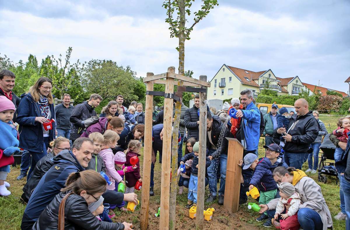 Pflanzaktion mit Babys in Bönnigheim: Ein Ginkgo für die 2022 geborenen Kinder