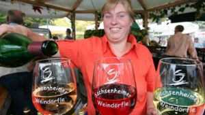 Zum ersten Mal findet das Sachsenheimer Weindörfle im Schlosspark statt. Foto: /BZ-Archiv / Helmut Pangerl
