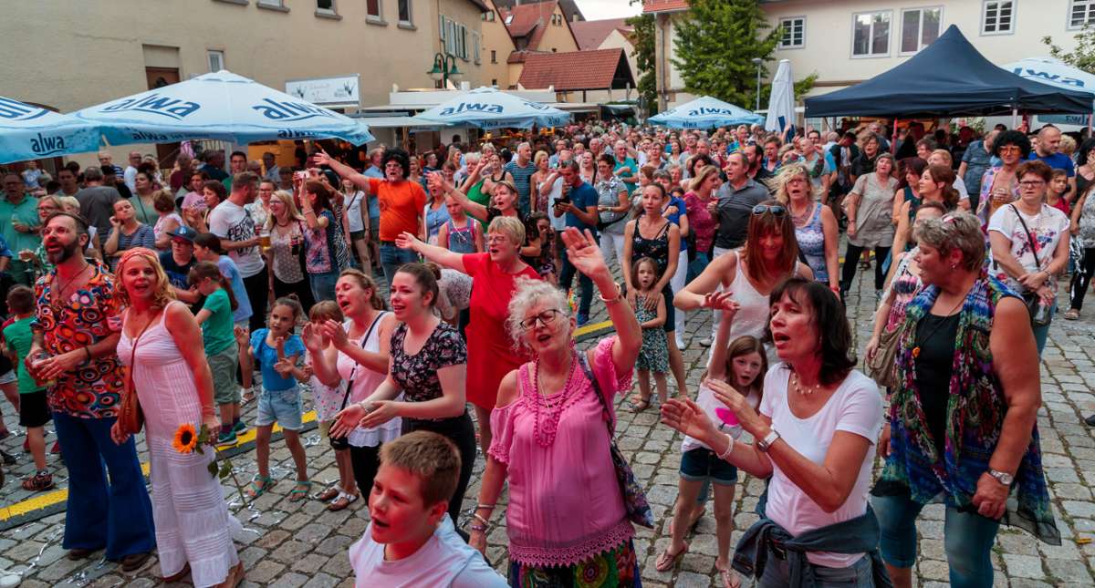 Fest in Sachsenheim findet nicht statt: Sommer am Schloss ist abgesagt