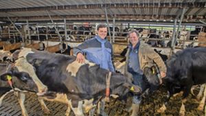 Milchbauern im Landkreis: „Eine Kuh lässt sich nicht ausbeuten“