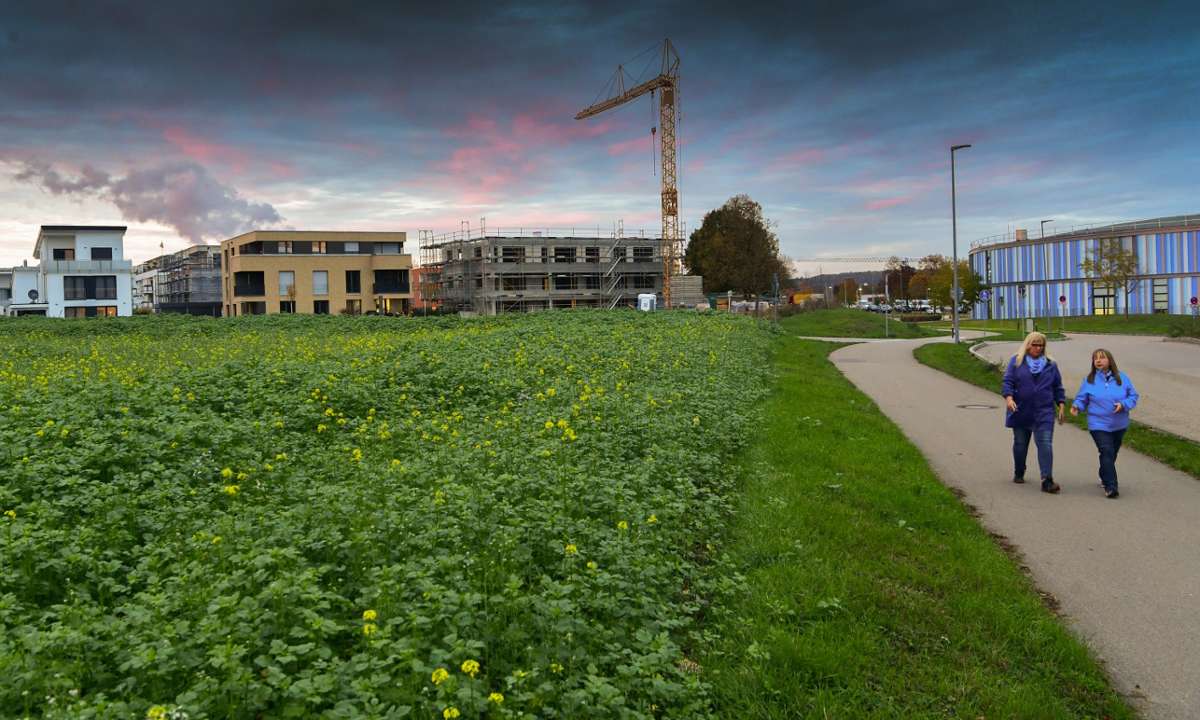 Streit um Baugrundstück in Bietigheim-Bissingen: Stadt zahlt 108 500 Euro weniger