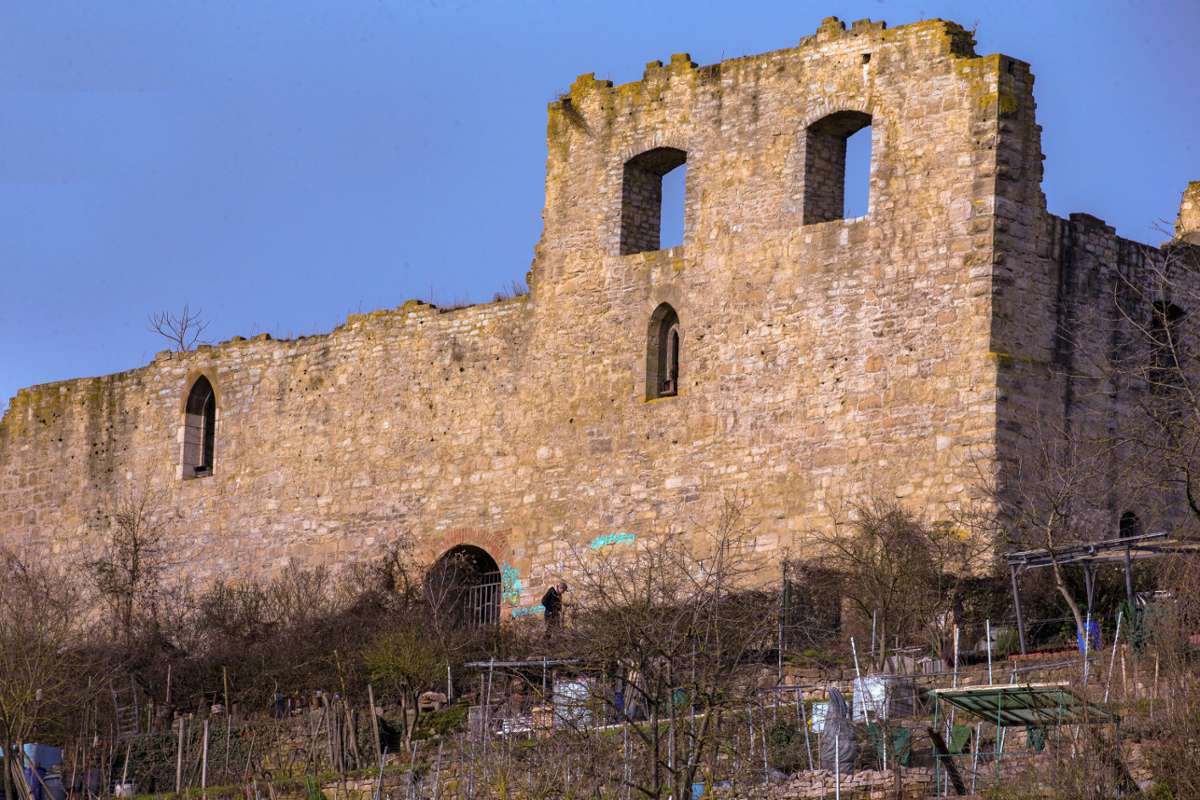 Internetseite hatte Bauwerk Untermberg zugesprochen: Die Ruine gehört zu Sachsenheim