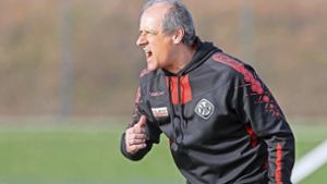 SGV Freiberg: Roland Seitz wird neuer Trainer