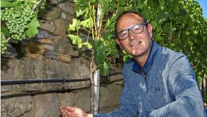 Bewässerung im Weinberg: Jedes Tröpfchen ist kostbar