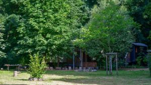 Hier, im Waldgebiet Berntal, entsteht ab dem kommenden Kindergartenjahr ein neuer Waldkindergarten. Im Hintergrund ist die bestehende Waldkindergartengruppe zu sehen, die sich in evangelischer Trägerschaft befindet. ⇥