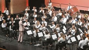Konzerte in Ludwigsburg und Bietigheim-Bissingen: Musikalische Leckerbissen werden frenetisch gefeiert
