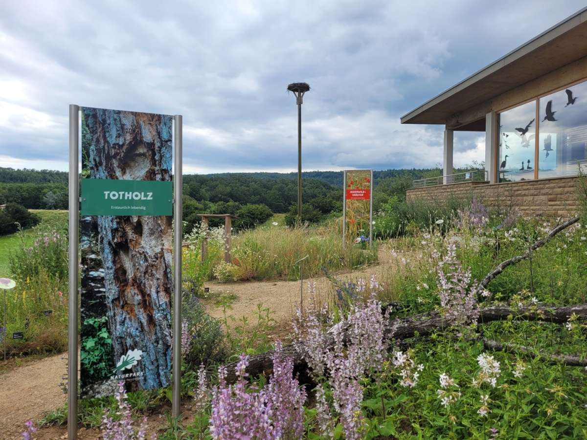 Wildkräuterwelt im Naturpark Stromberg-Heuchelberg: Tisch für Insekten und Vögel reich gedeckt